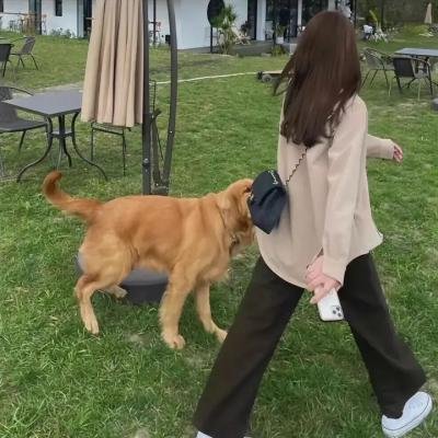 火焰末日